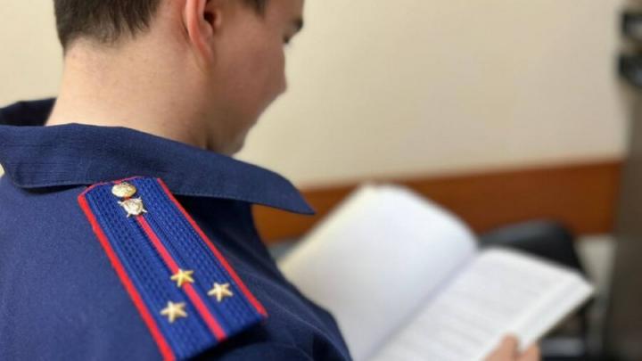 Травмирование ребенка салютом в Вольске: следственный комитет начал проверку