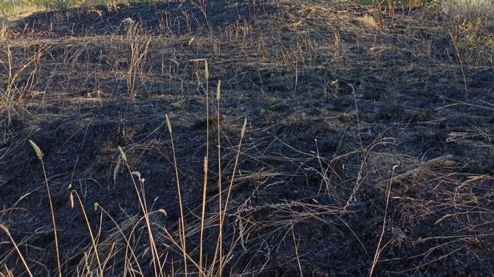 В саратовском поселке Семхоз горел гектар камыша