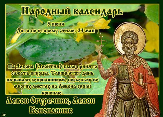 Согласно народному календарю, каждый год 5 июня отмечается День Левона Огуречника или Конопляника, праздник связан с памятью святителя Леонтия Ростовского, жившего в XI веке.
