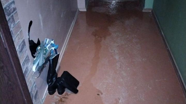 Энгельсскую многоэтажку затапливают талые воды